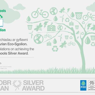 Eco Schools Silver Award Cert