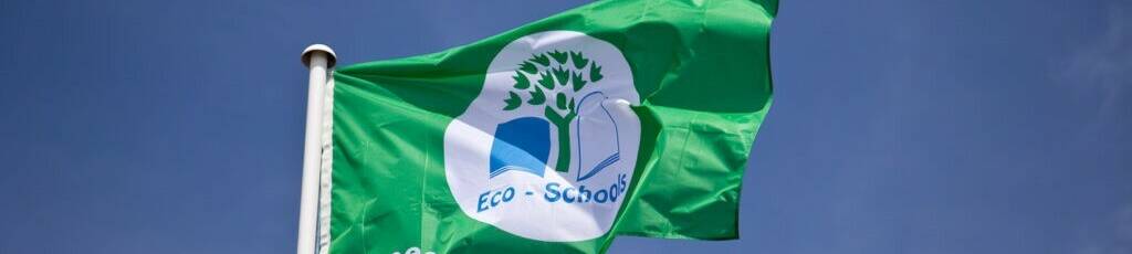 Eco cshools